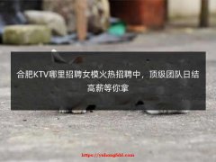 合肥哪里招聘女模日结兼职火热开启，领队职位诚聘，加入豪华夜场一起嗨